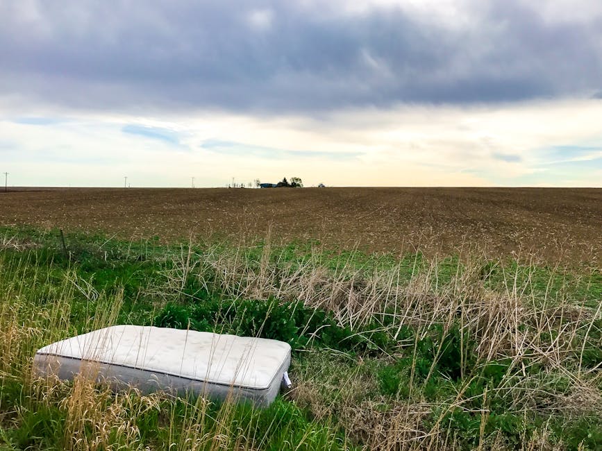 A discarded white mattress with a fabric cover rests on overgrown grass and weeds beside a rural field. The mattress is positioned horizontally in the foreground, partially obscured by tall, dry grass and green leafy plants. Behind it, there is a vast, open agricultural landscape with freshly plowed soil extending to the horizon, under a cloudy sky with patches of lighter blue. In the distance, a small cluster of trees and a few structures are barely visible against the flat terrain. The scene appears to be an example of illegal rubbish dumping in an open countryside, where private waste disposal methods such as independent collection or on-site clearance might be used instead of municipal services. The natural environment surrounding the mattress emphasizes the contrast between discarded waste and the rural setting, highlighting the importance of proper rubbish removal practices, which companies like Rubbish Clearance Paddington offer for bulky or unwanted items.